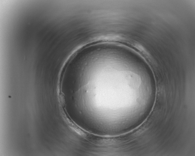 X0000072991232200607290005