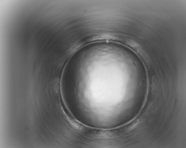 X0000072991233200607290005