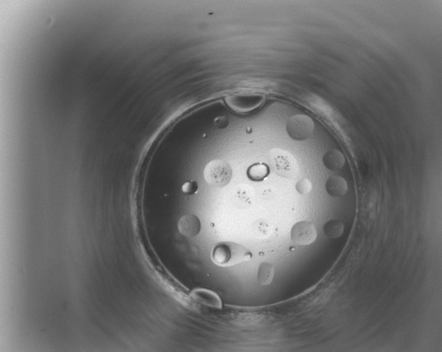 X0000072991235200607290005