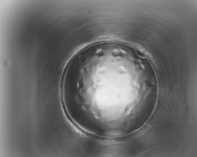 X0000072991239200607290005