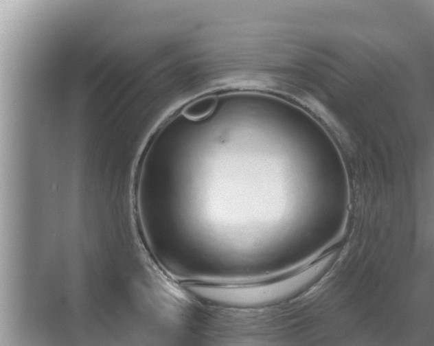 X0000072991240200607290005