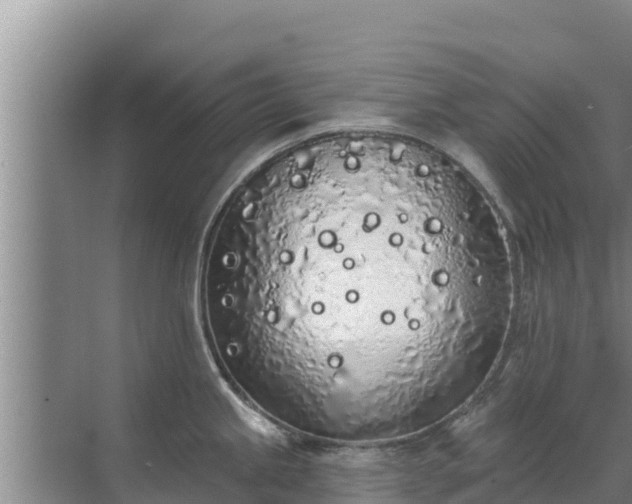 X0000072991245200607290005