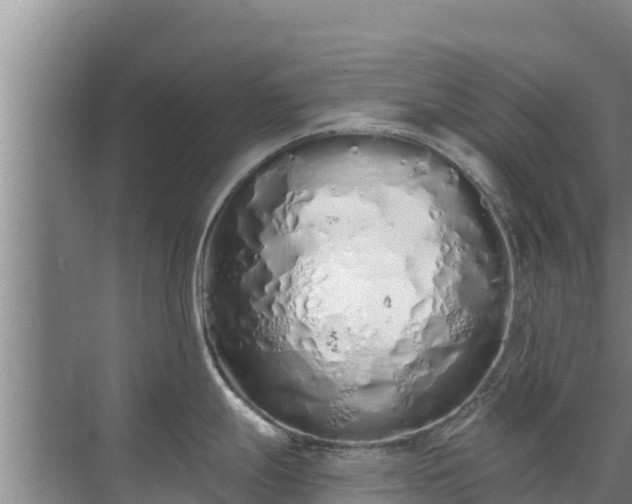 X0000072991247200607290005