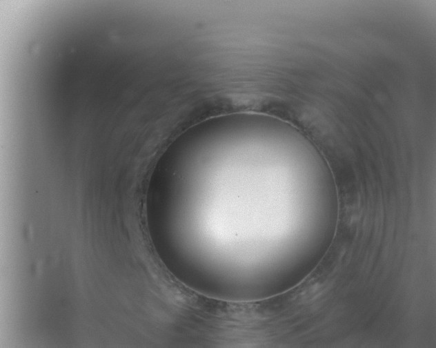 X0000072991249200607290005