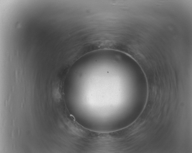 X0000072991250200607290005