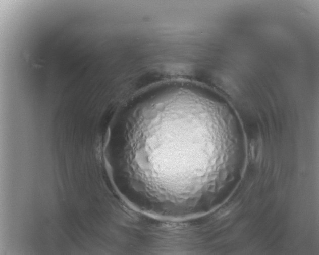 X0000072991251200607290005