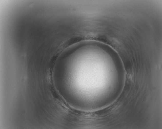 X0000072991252200607290005