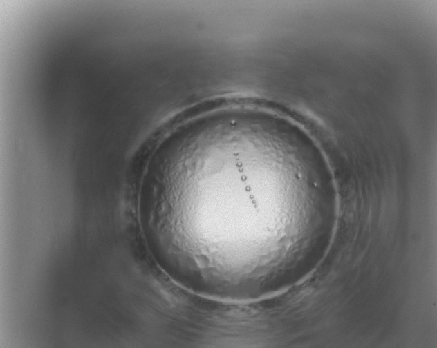 X0000072991255200607290004