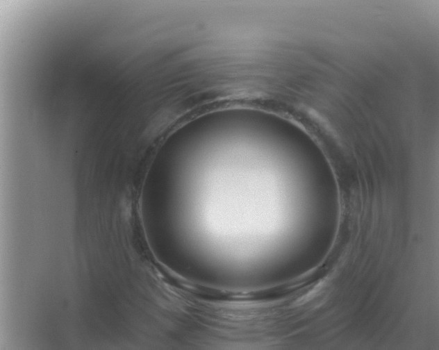 X0000072991257200607290004