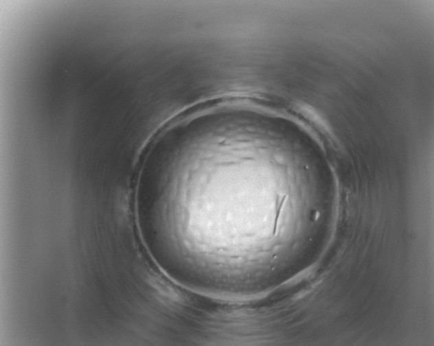 X0000072991260200607290004