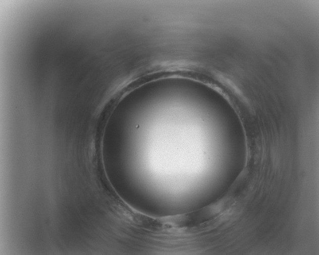 X0000072991261200607290004