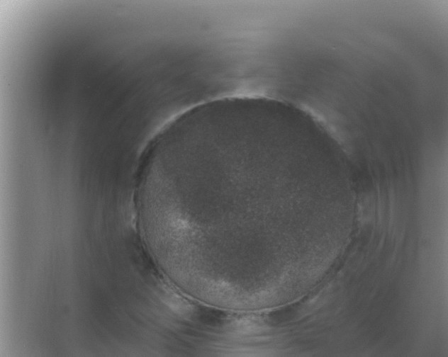 X0000072991262200607290004