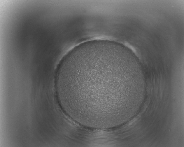 X0000072991263200607290004