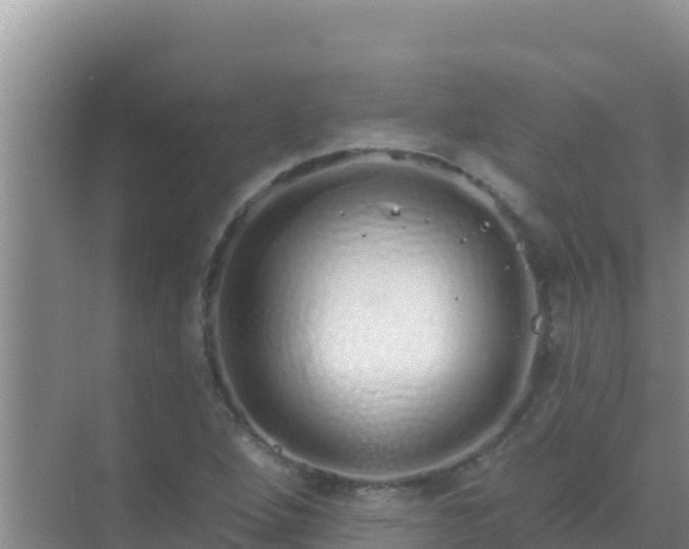 X0000072991264200607290004