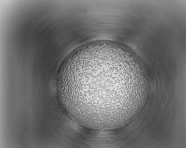 X0000072991266200607290004