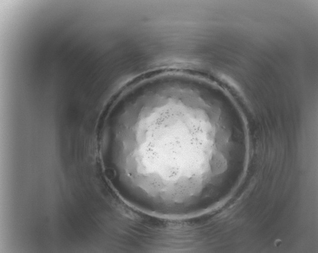 X0000072991267200607290004