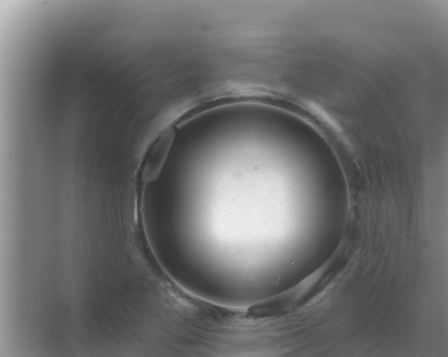 X0000072991269200607290004