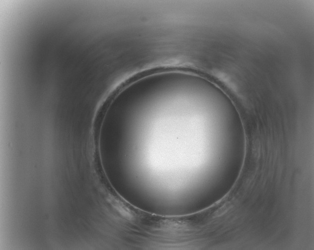 X0000072991270200607290004