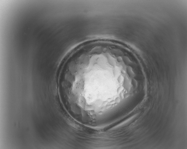 X0000072991271200607290004