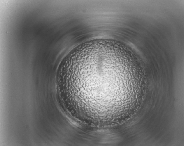 X0000072991274200607290004