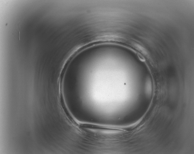 X0000072991275200607290004