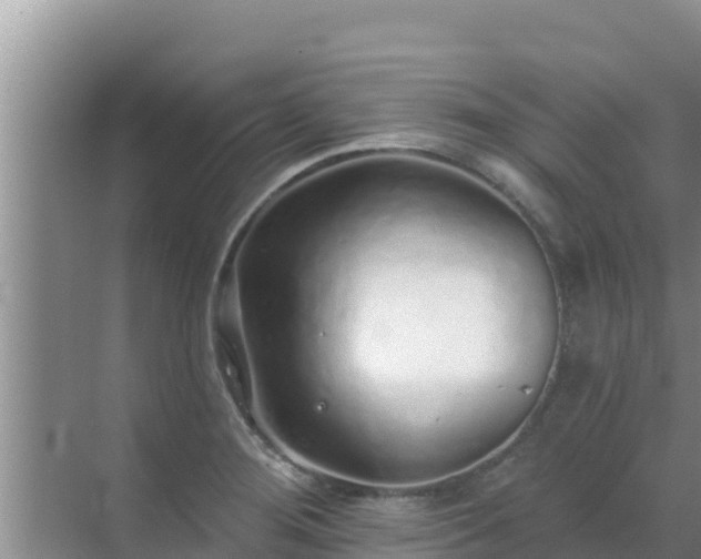 X0000072991276200607290004