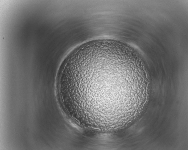 X0000072991278200607290004