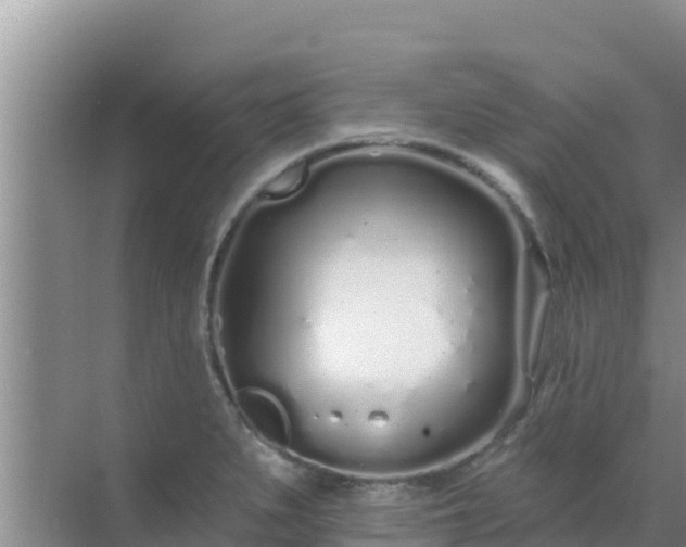 X0000072991279200607290004