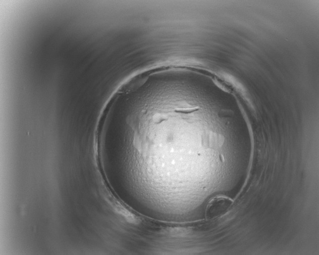 X0000072991280200607290004