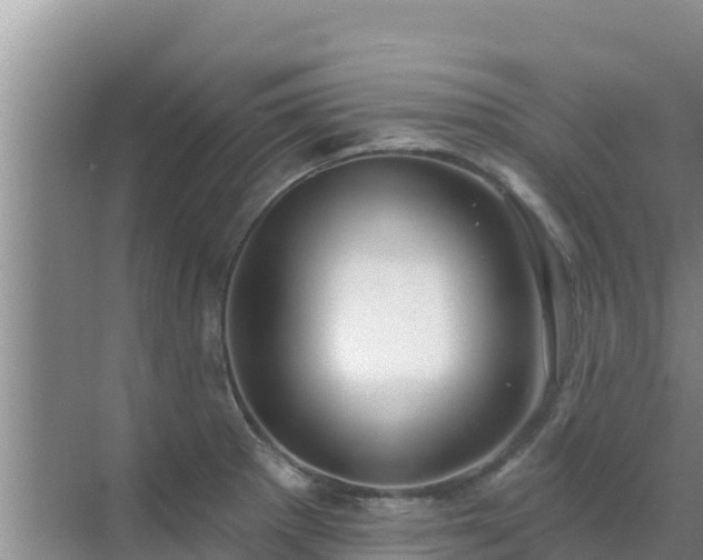 X0000072991281200607290004