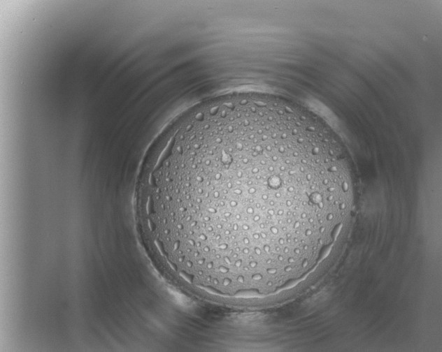 X0000072991282200607290004