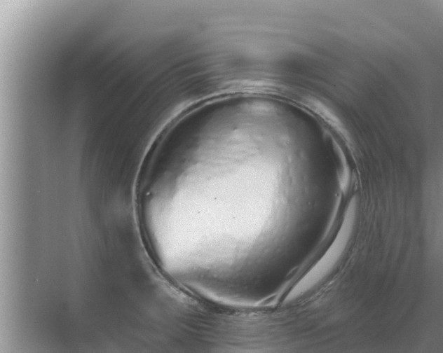 X0000072991283200607290004