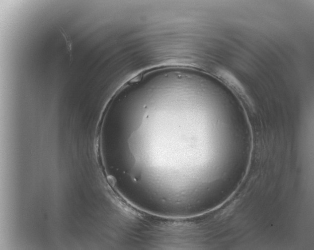 X0000072991284200607290004