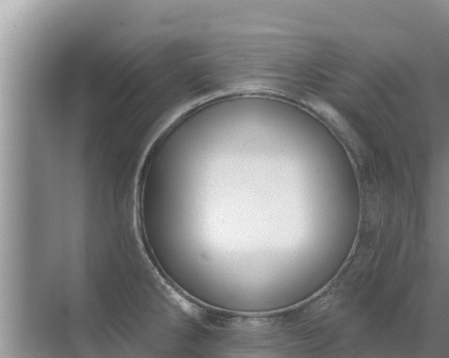 X0000072991286200607290004