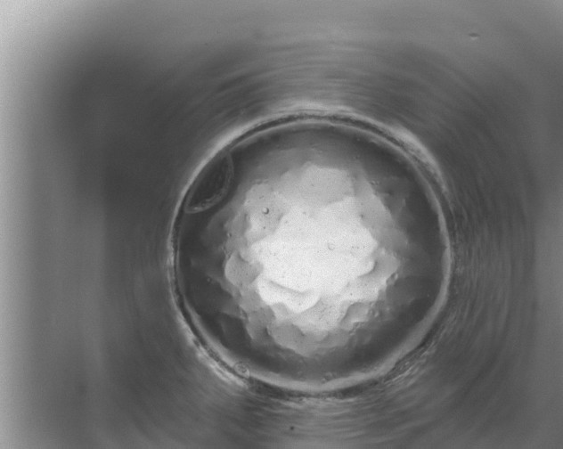 X0000072991287200607290004