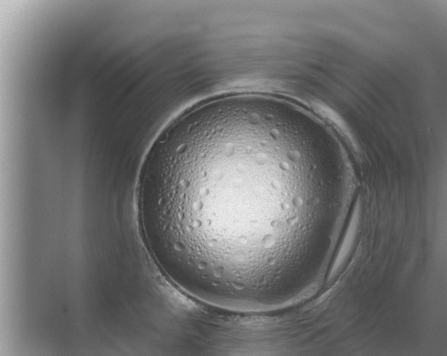 X0000072991288200607290004