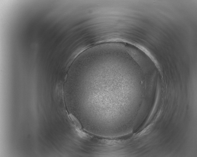 X0000072991289200607290004