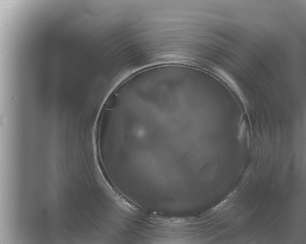 X0000072991291200607290004