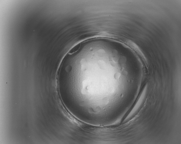 X0000072991292200607290004