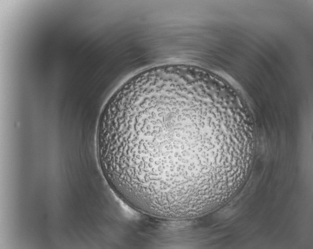 X0000072991294200607290004