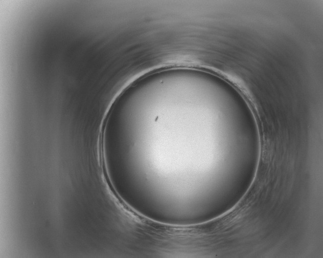 X0000072991295200607290004