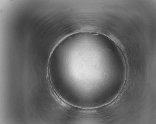 X0000072991296200607290004