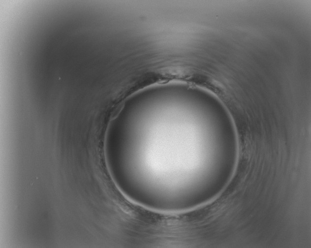 X0000072991297200607290003