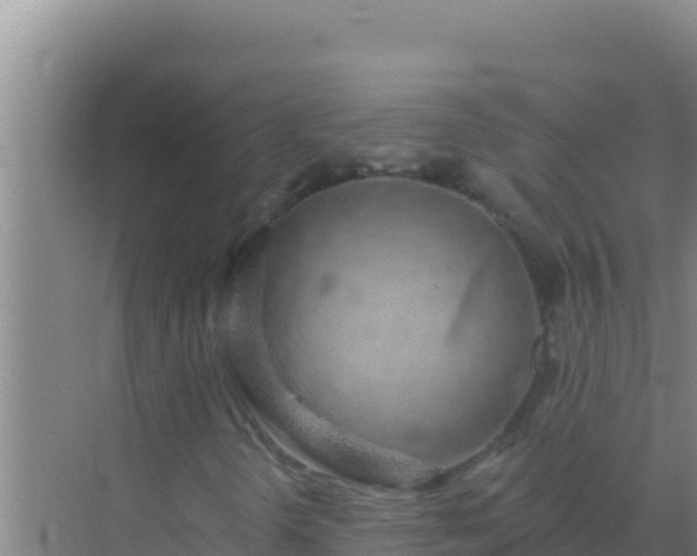 X0000072991298200607290003