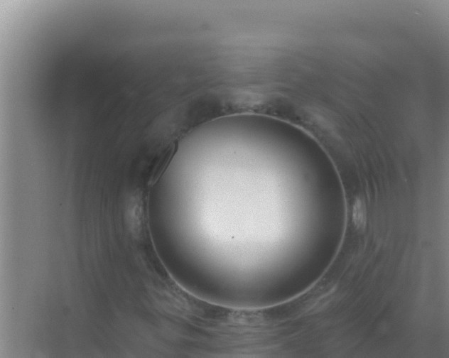 X0000072991299200607290003