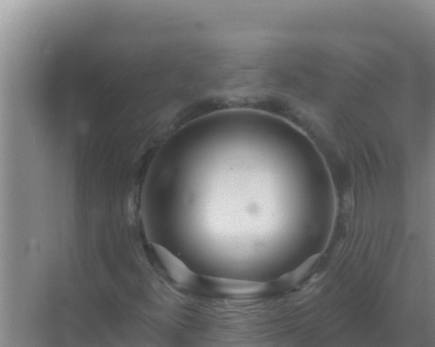 X0000072991300200607290003