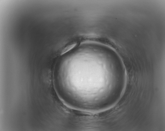 X0000072991301200607290003