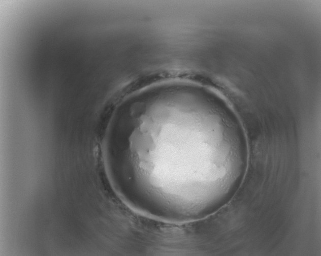 X0000072991302200607290003