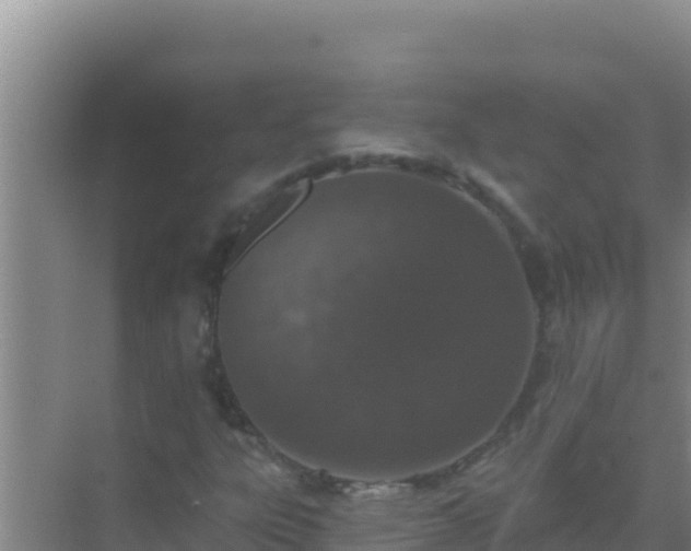 X0000072991303200607290003