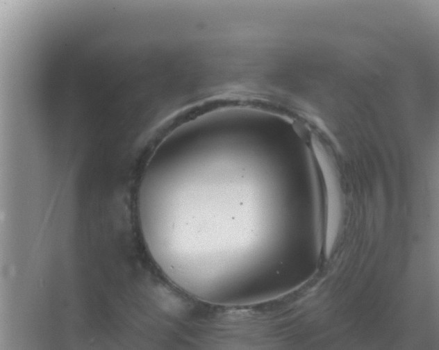 X0000072991304200607290003